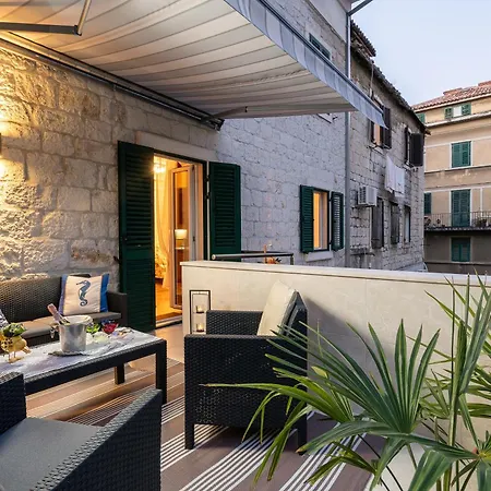 Camellia- Cozy * Split