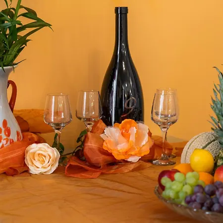 Apartman Camellia- Cozy Split