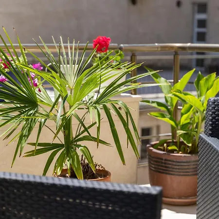 Camellia- Cozy Apartman *