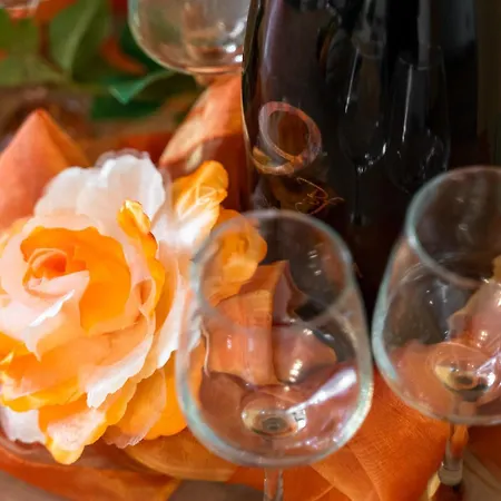 Apartman Camellia- Cozy *