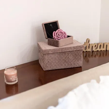 Camellia- Cozy Appartement